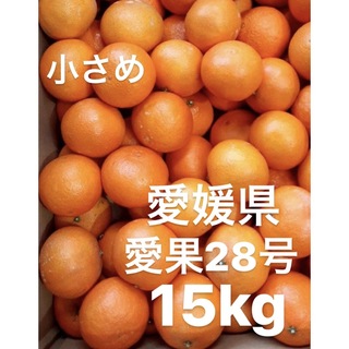 愛媛県産　愛果28号　柑橘　15kg(フルーツ)