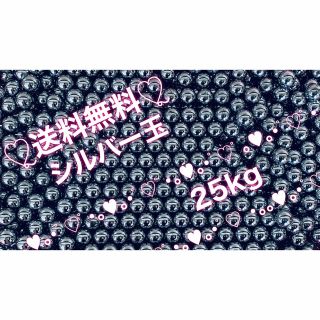 ꙳★*゜パチンコ玉  シルバー玉（25kg）※2セット꙳★*゜(パチンコ/パチスロ)