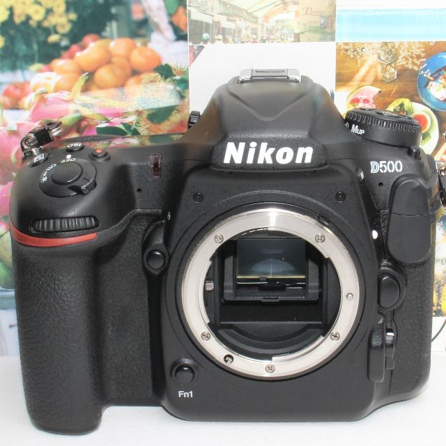 数量限定】 Nikon - ❤️予備バッテリー付き❤️ニコン D500 超望遠