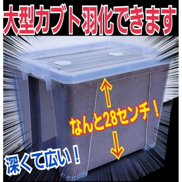 2セット幼虫を入れるだけ！便利！特大ケース入り!プレミアム発酵