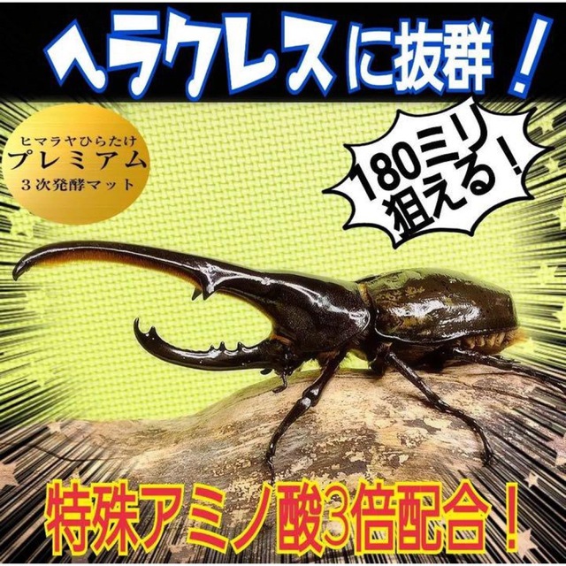 20Lケース付☆プレミアム発酵マット☆幼虫を入れるだけ！大型カブトムシ羽化できる