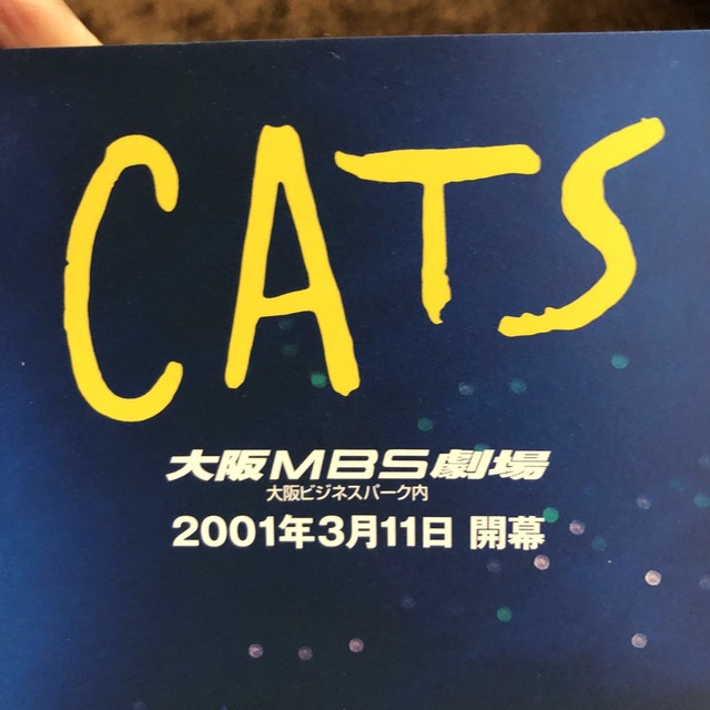 劇団四季 キャッツ CATS  パンフレット 2001年 チケットの演劇/芸能(ミュージカル)の商品写真