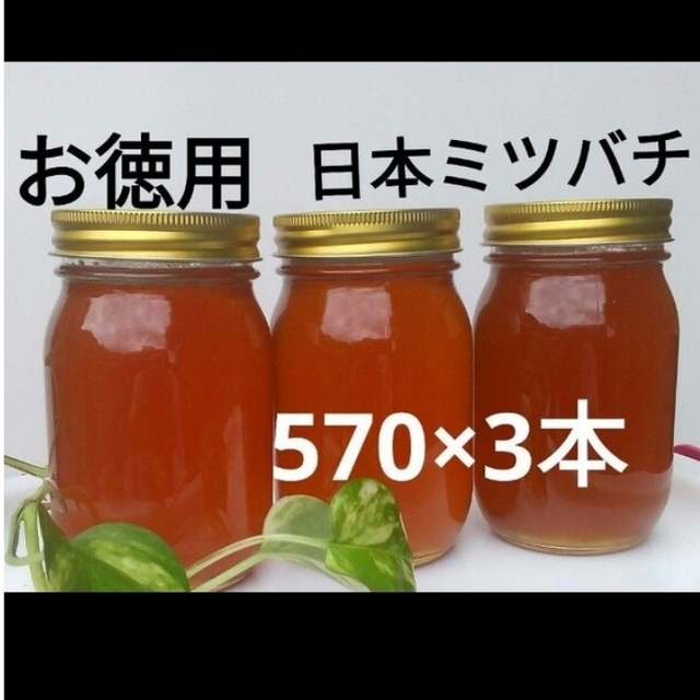 はちみつお徳用 日本ミツバチ 蜂蜜(570×3本)