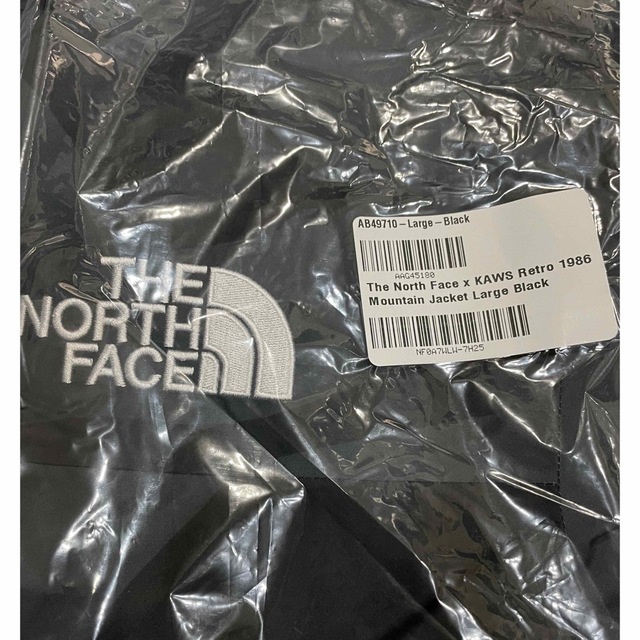 L North Face KAWS Mountain Jacket 黒 カウズ