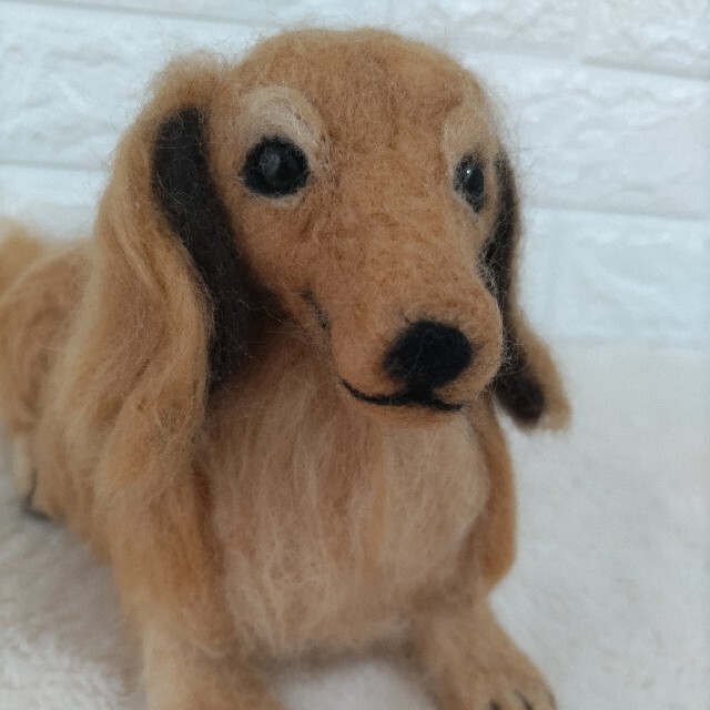 羊毛フェルト　犬　ダックスフンド　ハンドメイド ハンドメイドのぬいぐるみ/人形(ぬいぐるみ)の商品写真