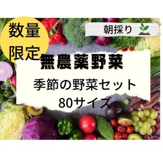 12/5(月)発送！朝採り季節の無農薬野菜セット80サイズ！(野菜)