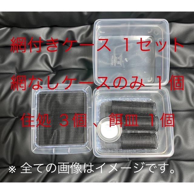 爬虫類 両生類 デュビア コオロギ レッドローチ 飼育ケース 飼育ケージ 小 その他のペット用品(爬虫類/両生類用品)の商品写真