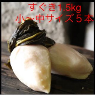 多数TV出演あり！京都上賀茂京漬物すぐき1.5kg(小〜中サイズ5本)ご進物にも(野菜)