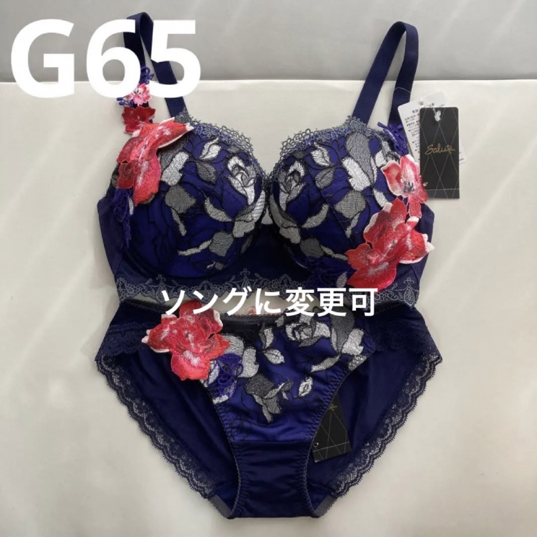 新品 ワコール サルート ブラジャー 店舗限定商品 ショーツ63G G65 VI-