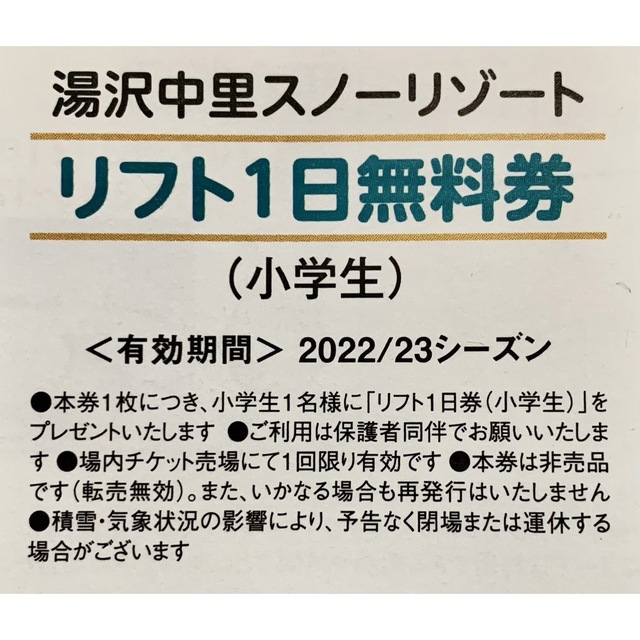 湯沢中里スノーリゾート　リフト券2枚セット