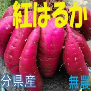 てんてん💛さま専用  紅はるか/安納芋/菊芋詰合せ (野菜)