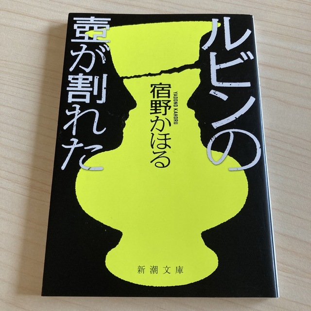 ルビンの壺が割れた エンタメ/ホビーの本(その他)の商品写真