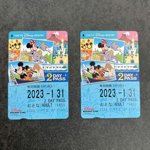 ディズニーリゾートライン チケット2枚 チケットの施設利用券(遊園地/テーマパーク)の商品写真