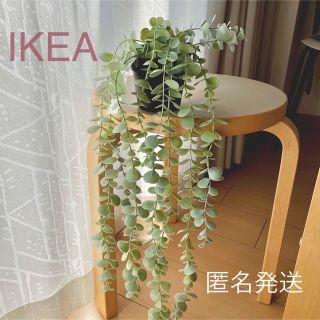 イケア(IKEA)の【新品】IKEA イケア フェイクグリーン（ユーカリ）フェイカ(その他)