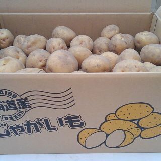 富良野じゃがいも　男爵(野菜)