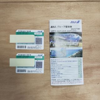 エーエヌエー(ゼンニッポンクウユ)(ANA(全日本空輸))のANA 株主優待券+グループ優待券　２枚(宿泊券)