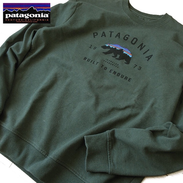 patagonia(パタゴニア)の美品 M パタゴニア メンズ 裏起毛スウェット/トレーナー グリーン メンズのトップス(スウェット)の商品写真