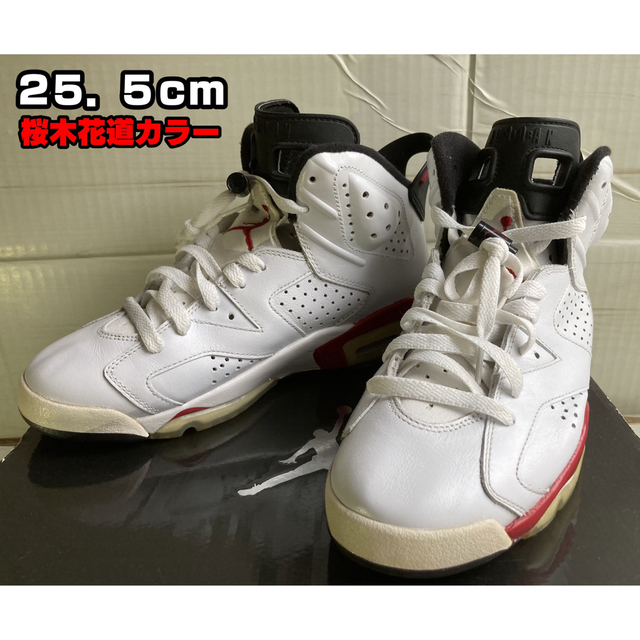 AIR JORDAN6 RETRO(2010)【ジョーダン6】桜木花道カラー