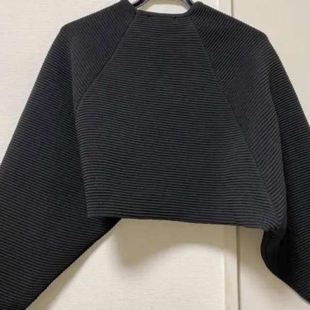 BEAUTY&YOUTH UNITED ARROWS(ビューティアンドユースユナイテッドアローズ)の【louren】crewneck short knit pullover レディースのトップス(ニット/セーター)の商品写真