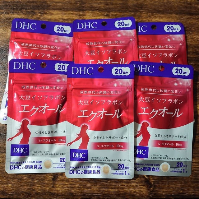 DHC 大豆イソフラボン エクオール 20日分 × 6袋