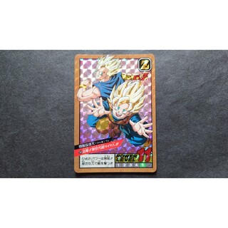 ドラゴンボール カードダス スーパーバトル 第8弾 No.309 悟飯&悟天