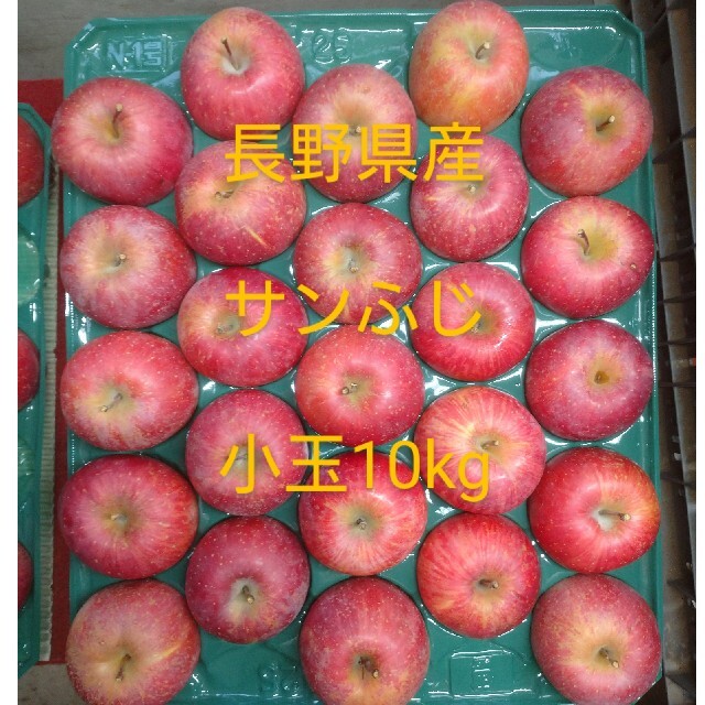 ②長野県産 小玉サンふじ 10kg 食品/飲料/酒の食品(フルーツ)の商品写真