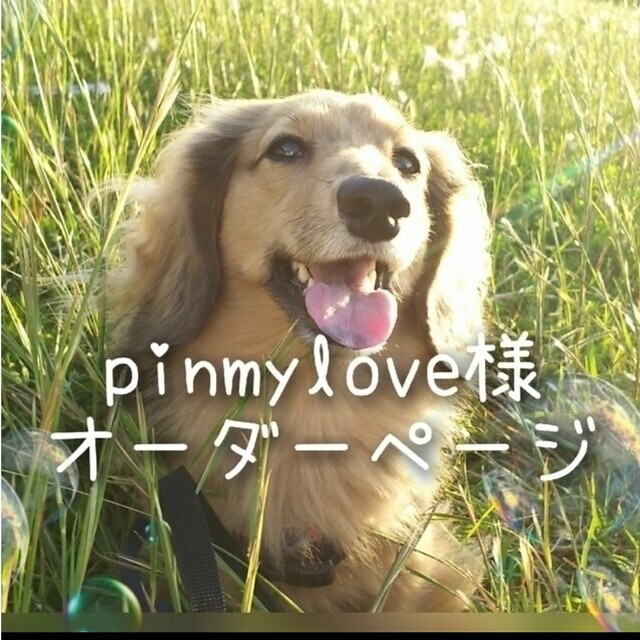 pinmyloveさま追加オーダー