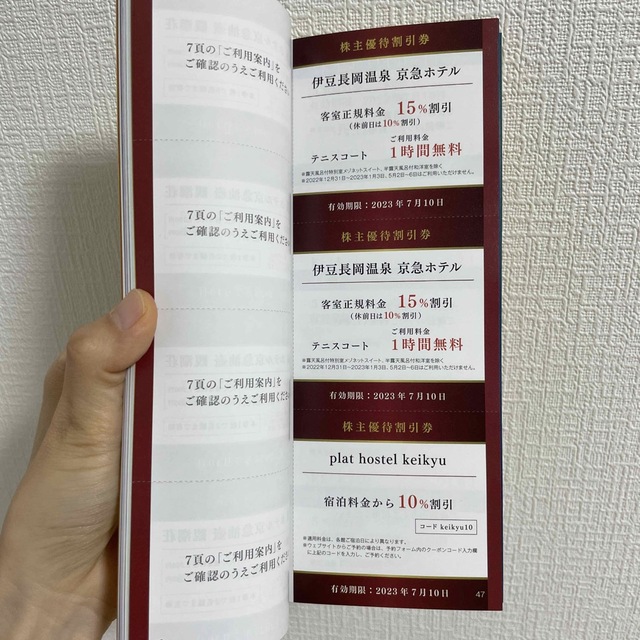 株主優待割引券　100 チケットの乗車券/交通券(鉄道乗車券)の商品写真