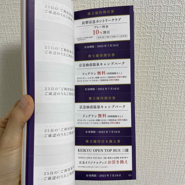 株主優待割引券　100 チケットの乗車券/交通券(鉄道乗車券)の商品写真