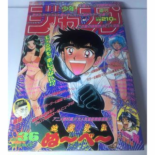 週刊少年ジャンプ　1996年36号(少年漫画)