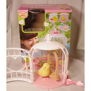 おしゃべりインコ(知育玩具)