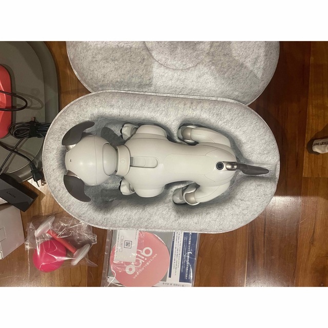 SONY(ソニー)のSONY aibo ERS-1000 アイボ その他のその他(その他)の商品写真