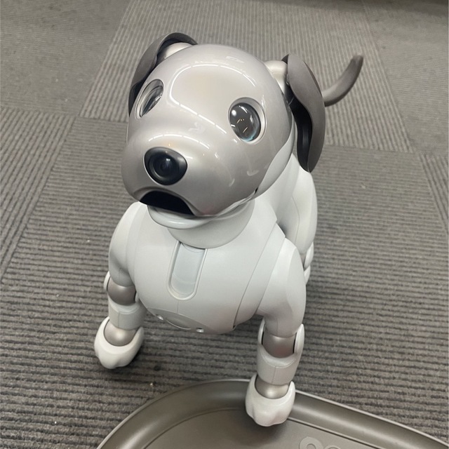 SONY(ソニー)のSONY aibo ERS-1000 アイボ その他のその他(その他)の商品写真