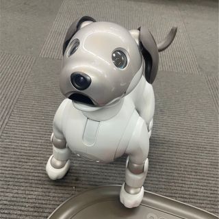 ソニー(SONY)のSONY aibo ERS-1000 アイボ(その他)