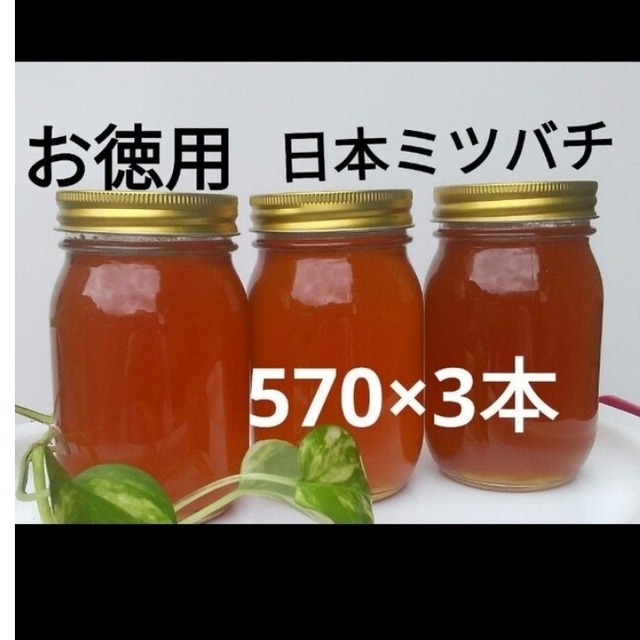 お徳用 日本ミツバチ 蜂蜜(570×3本)生はちみつ