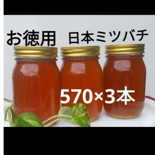 お徳用 日本ミツバチ 蜂蜜(570×3本)(その他)