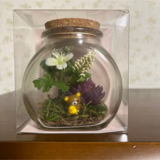 サンエックス(サンエックス)のTerrarium de リラックマ(その他)