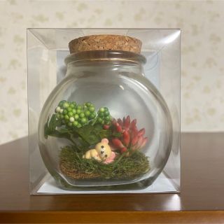 サンエックス(サンエックス)のTerrarium de リラックマ(その他)