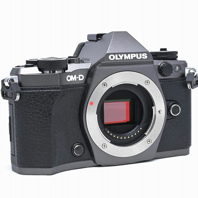 OLYMPUS(オリンパス)のOLYMPUS OM-D E-M5 MarkII Limited Edition スマホ/家電/カメラのカメラ(ミラーレス一眼)の商品写真