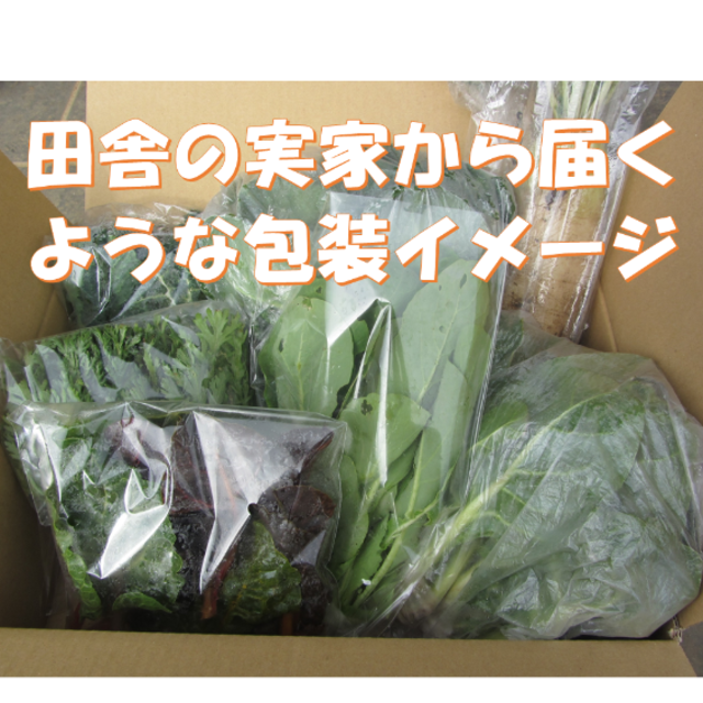 冬を感じる野菜セット　冬野菜詰め合わせ　８０サイズ　１２月２５日以降の発送 食品/飲料/酒の食品(野菜)の商品写真