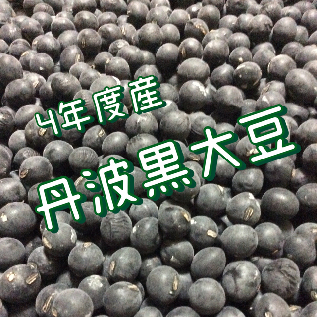 京都丹波 黒豆 丹波の黒大豆 300グラム 食品/飲料/酒の食品(米/穀物)の商品写真
