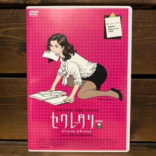 セクレタリー DVD(外国映画)