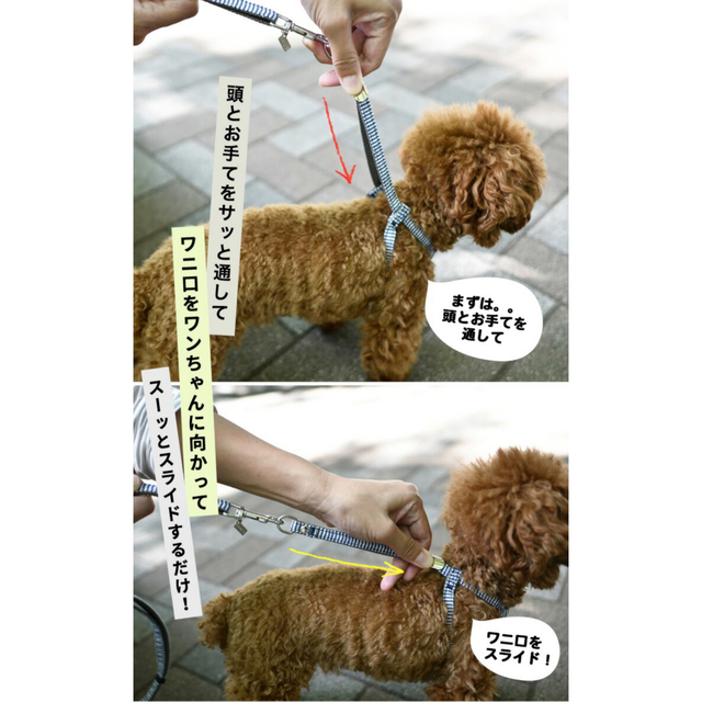 ラディカ　小型犬用　ハーネスリードセット　Sサイズ その他のペット用品(犬)の商品写真