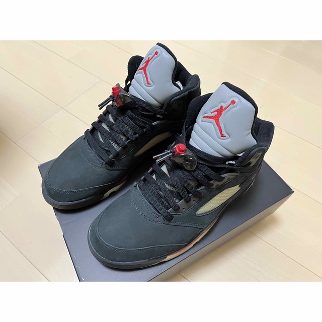 WMNS Air Jordan 5 GORE-TEX 28.0㎝