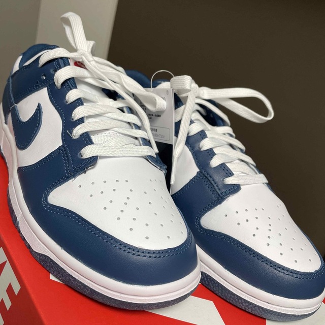 靴/シューズNIKE DUNK LOW RETRO