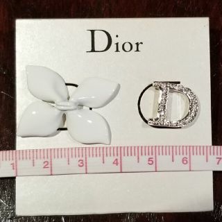 クリスチャンディオール(Christian Dior)のChristian Dior　ピンバッチ(ブローチ/コサージュ)