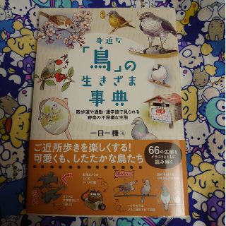 身近な「鳥」の生きざま事典 散歩道や通勤・通学路で見られる野鳥の不思議な生態(科学/技術)