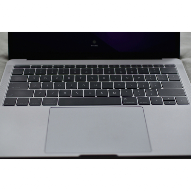 MacBookPro2017 メモリ16㎇ SSD256㎇