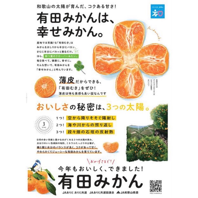 有田みかん農家直送⭐️ブランド味わい美人　大玉秀品箱込み10キロ 食品/飲料/酒の食品(フルーツ)の商品写真