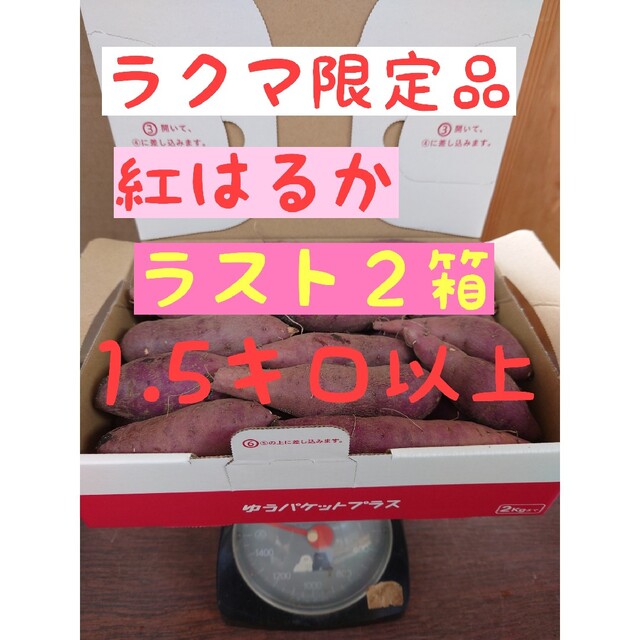 さつまいも【紅はるか.1.5キロ以上】【野菜】【サツマイモ】 食品/飲料/酒の食品(野菜)の商品写真